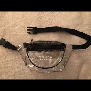 Ariana Grande fanny pack